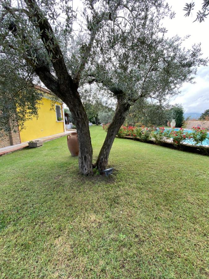 Villa "Casa Al Chiazzullo" Mirabella Eclano Ngoại thất bức ảnh